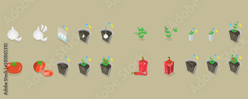 3D Isometric Flat Vector Conceptual Illustration of How To Grow Food, Planting Process