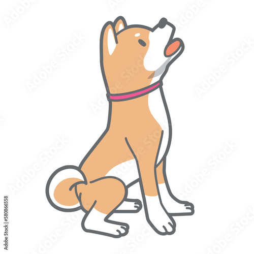 遠吠えする柴犬のベクターイラスト