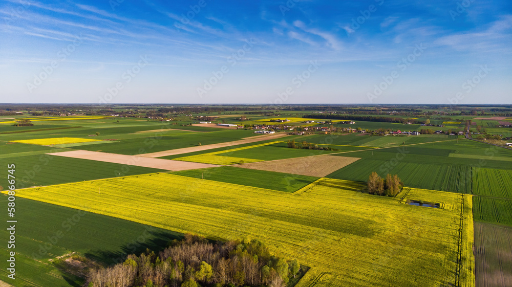 Obraz premium Village fields