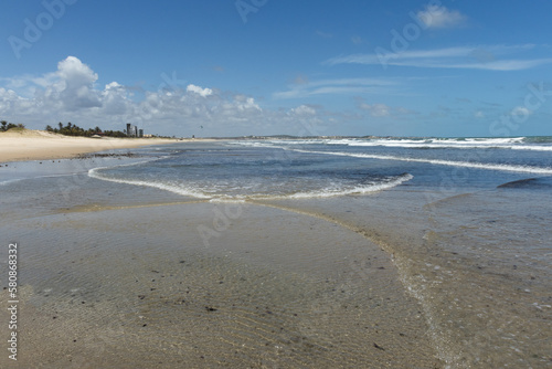 Beach with dunes in the background and clear, calm waters in the foreground, on the northeast coast, an international tourist destination - Genipabu - Extremoz - Rio Grande do Norte