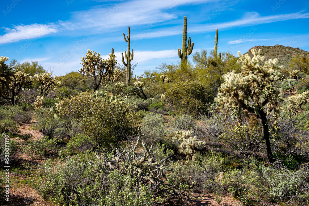 Superstition Mountains in Central Arizona, America, USA. Superstition Mountains in Central Arizona, America, USA.