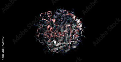 Human thymidylate synthase, anticancer drug target with Raltitrexed drug, 3D molecule in 4K photo