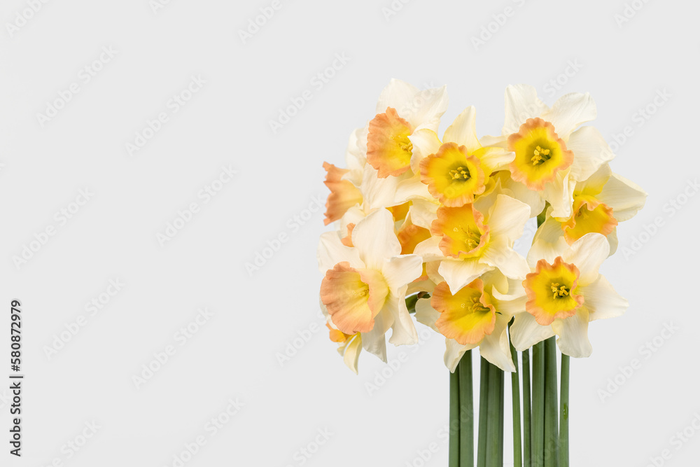 daffodil bouquet background