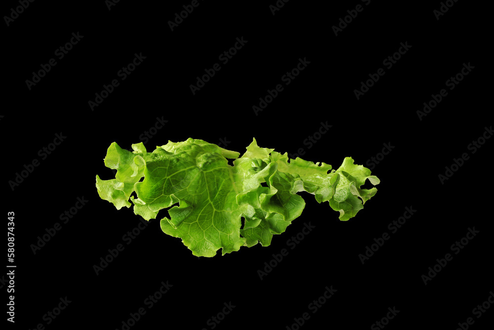 flying lettuce salad isolated black background - obrazy, fototapety, plakaty 