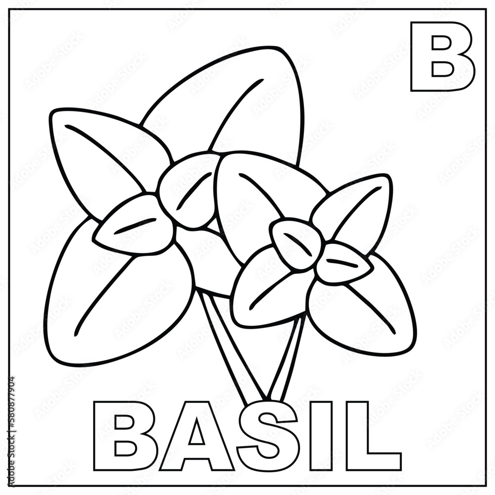 vetor-de-coloring-book-for-children-balsam-basil-coloring-page-with