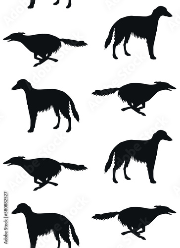 Vector seamless pattern of hand drawn Russian borzoi dog silhouette isolated on white background