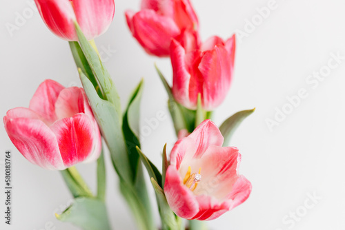 Pink tulips and engagement rings with diamonds on white background. Background for Valentine s Day. Gift for Mother s Day  international Women s Day  March 8th. Spring Mock ups. Space for text