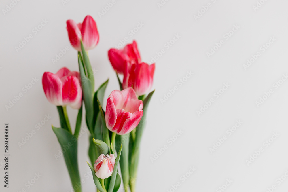 Pink tulips and engagement rings with diamonds on white background. Background for Valentine's Day. Gift for Mother's Day, international Women's Day, March 8th. Spring Mock ups. Space for text Pink tulips and engagement rings with diamonds on white background. Background for Valentine's Day. Gift for Mother's Day, international Women's Day, March 8th. Spring Mock ups. Space for text
