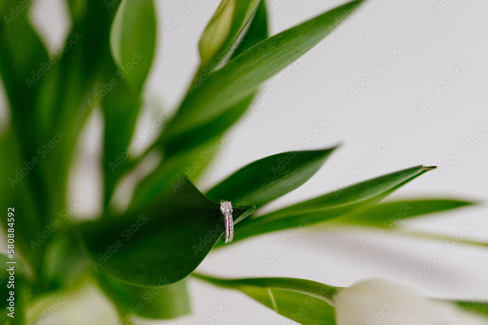An engagement ring in white gold with a diamond lies in a bouquet of white tulips on white background. Gift for Women's Day, Valentine's Day. Beautiful spring background with green leaves. Mock up