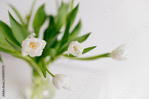 An engagement ring in white gold with a diamond lies in a bouquet of white tulips on white background. Gift for Women's Day, Valentine's Day. Beautiful spring background with green leaves. Mock up