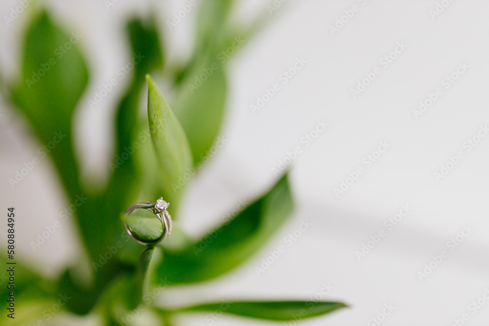 custom made wallpaper toronto digitalAn engagement ring in white gold with a diamond lies in a bouquet of white tulips on white background. Gift for Women's Day, Valentine's Day. Beautiful spring background with green leaves. Mock up