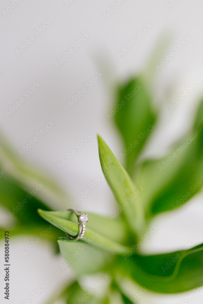 An engagement ring in white gold with a diamond lies in a bouquet of white tulips on white background. Gift for Women's Day, Valentine's Day. Beautiful spring background with green leaves. Mock up An engagement ring in white gold with a diamond lies in a bouquet of white tulips on white background. Gift for Women's Day, Valentine's Day. Beautiful spring background with green leaves. Mock up