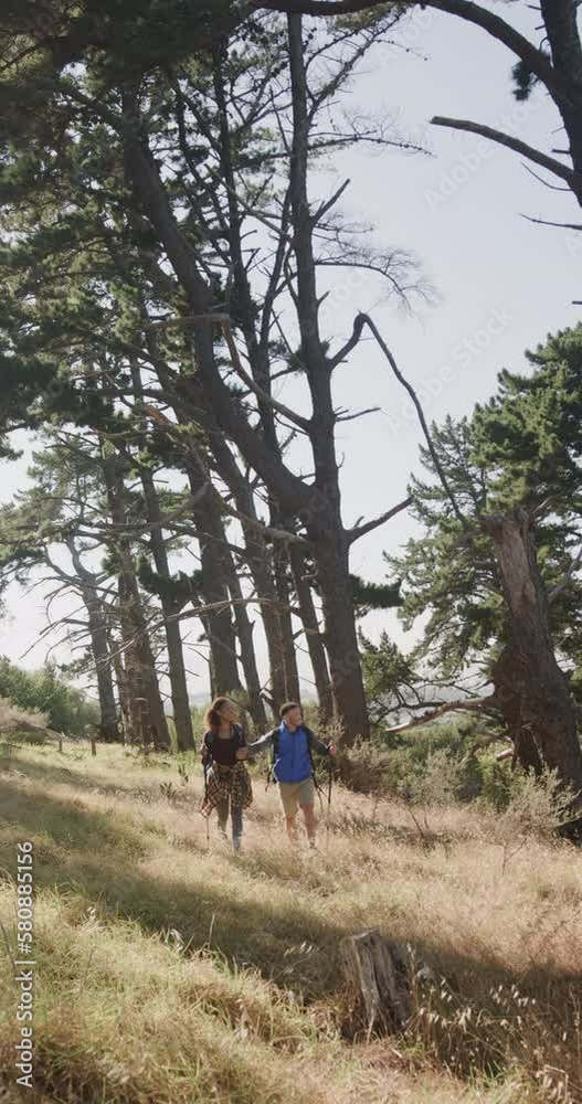 Vertical video of biracial couple hiking with trekking poles in forest, slow motion Vertical video of biracial couple hiking with trekking poles in forest, slow motion