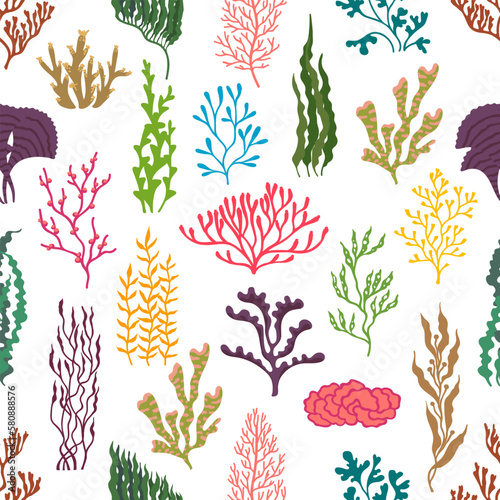 Underwater seaweed plants seamless pattern. Sea and ocean coral reef life vector background. Marine water plants, color algae seaweeds backdrop of kelp or laminaria, gracilaria, anemone and codium