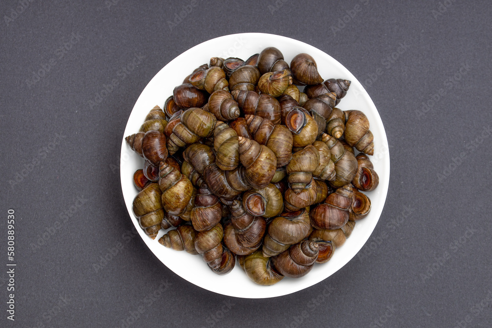 Obraz premium Fresh specialty whelk ingredients