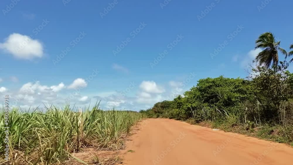 Slow motion shot moving down a small dirt road next to a sugar cane field in the small town of Canguaretama near Tibau do Sul and Natal in Rio Grande do Norte, Brazil on a summer day Slow motion shot moving down a small dirt road next to a sugar cane field in the small town of Canguaretama near Tibau do Sul and Natal in Rio Grande do Norte, Brazil on a summer day
