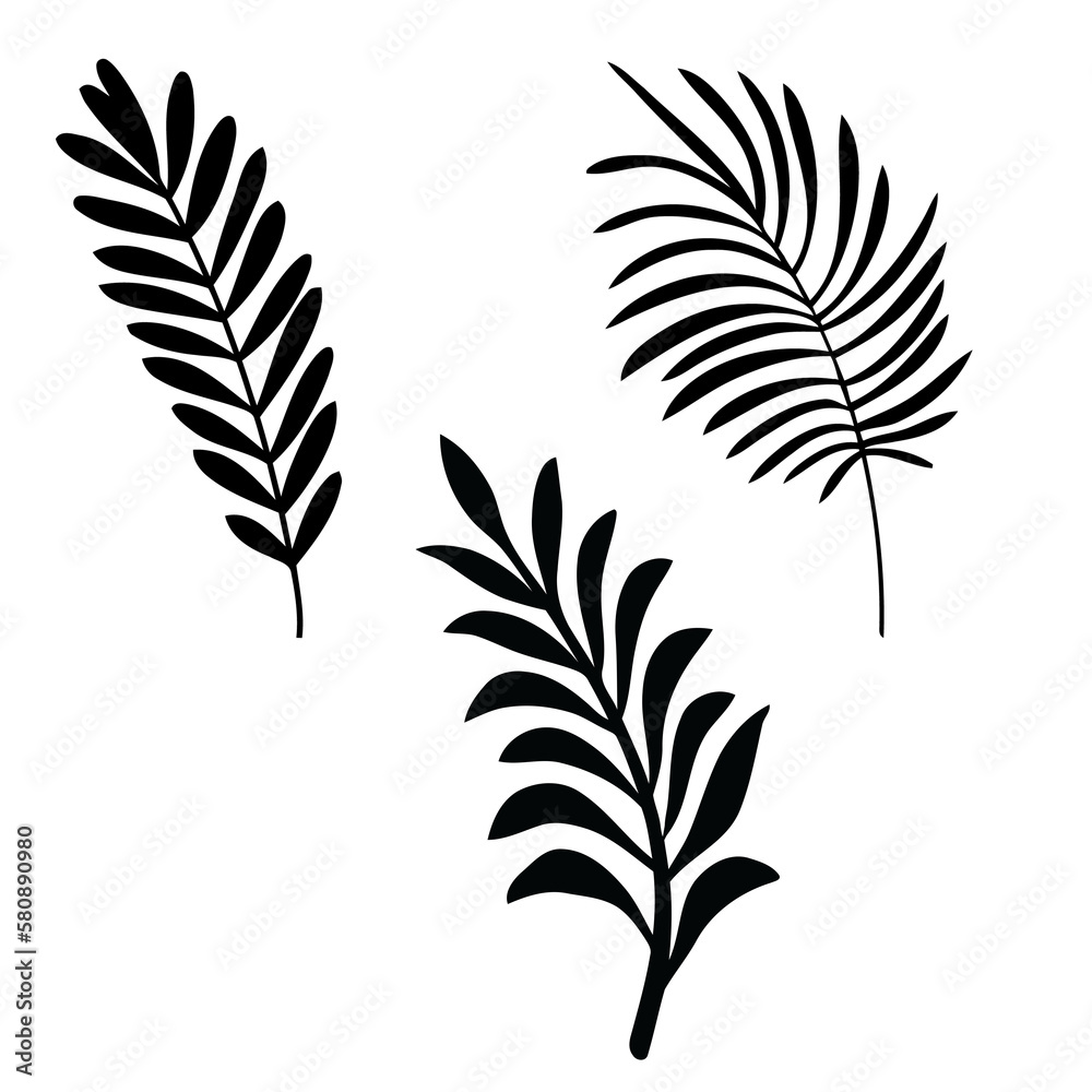 Tropical leaves vector illustration set of 3 realistic tropical leaf silhouettes black color shapes Tropical leaves vector illustration set of 3 realistic tropical leaf silhouettes black color shapes