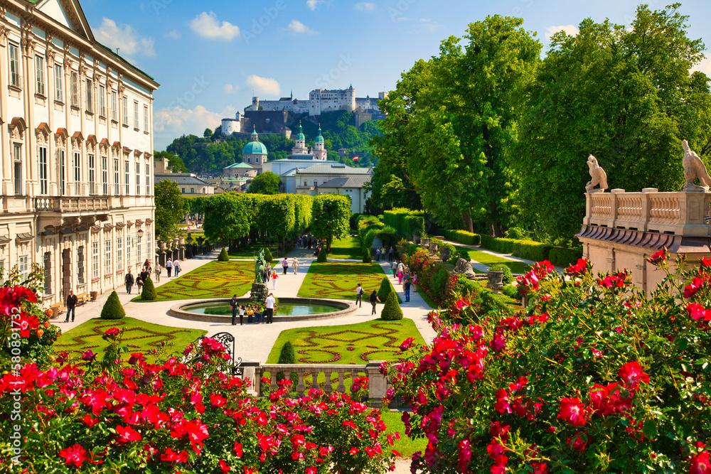 Obraz premium ミラベル庭園のバラの花とホーエンザルツブルク城