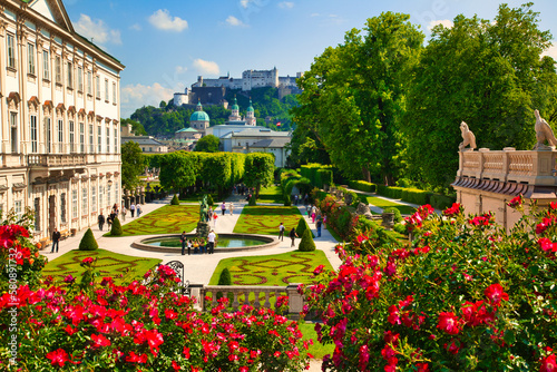 Fototapeta Naklejka Na Ścianę i Meble -  ミラベル庭園のバラの花とホーエンザルツブルク城