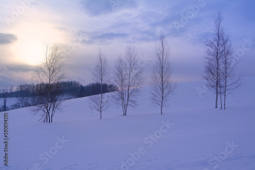 雪景色と丘の夕暮れ、北海道美瑛町
