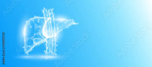 Human liver anatomy form line triangles connecting on blue background. Futuristic glowing organ hologram translucent white and copy space for text. Medical anatomical concept. Modern design vector.