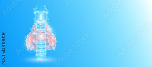 Human thyroid gland anatomy form line triangles connecting on blue background. Futuristic glowing organ hologram translucent and copy space for text. Medical anatomical concept. Modern design vector.