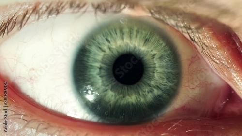 Macro footage of blue iris reacting to light, showcasing intricate details of the pupil's dilation and contraction photo