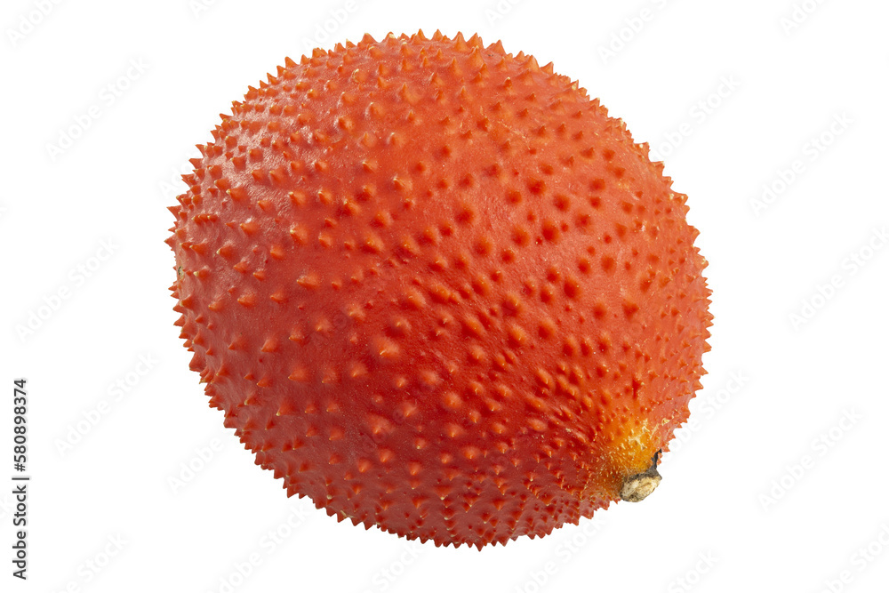 Fresh Gac Fruit or Baby Jackfruit, bright red fruit in round shape with thorns Fresh Gac Fruit or Baby Jackfruit, bright red fruit in round shape with thorns