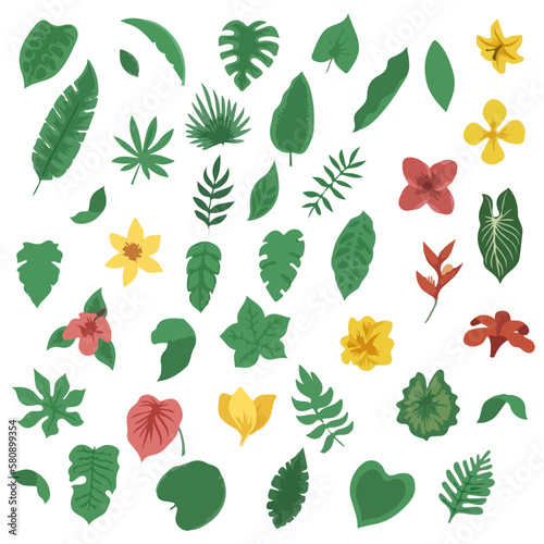 Tropical leaves collection. Vector illustration isolated elements on the white background