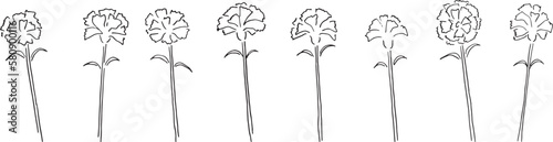 カーネーションの線画ベクターイラスト。手書きの春の花。母の日のイラスト。Line drawing vector illustration of carnation. Hand drawn spring flowers. Illustration for mother's day.