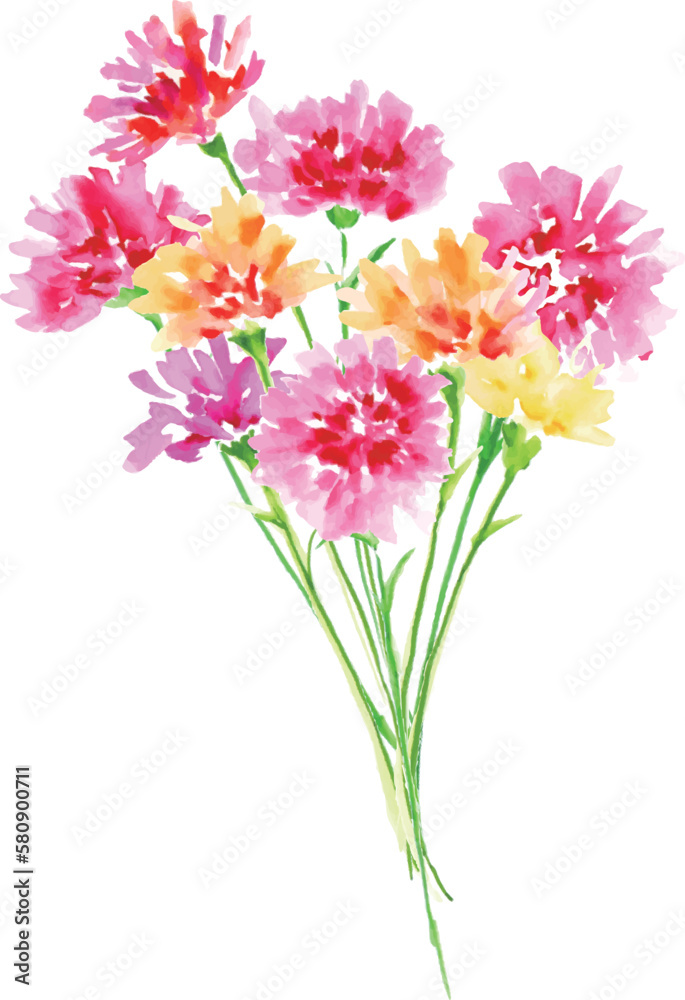 水彩画。水彩タッチのカーネーションベクターイラスト。母の日の花イラスト。Watercolor painting. Carnation vector illustration with watercolor touch. Mother's day flower illustration.