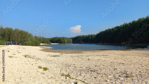 Fototapeta Naklejka Na Ścianę i Meble -  Selective focus seawater lake on a beautiful white sand beach with fir trees in the background