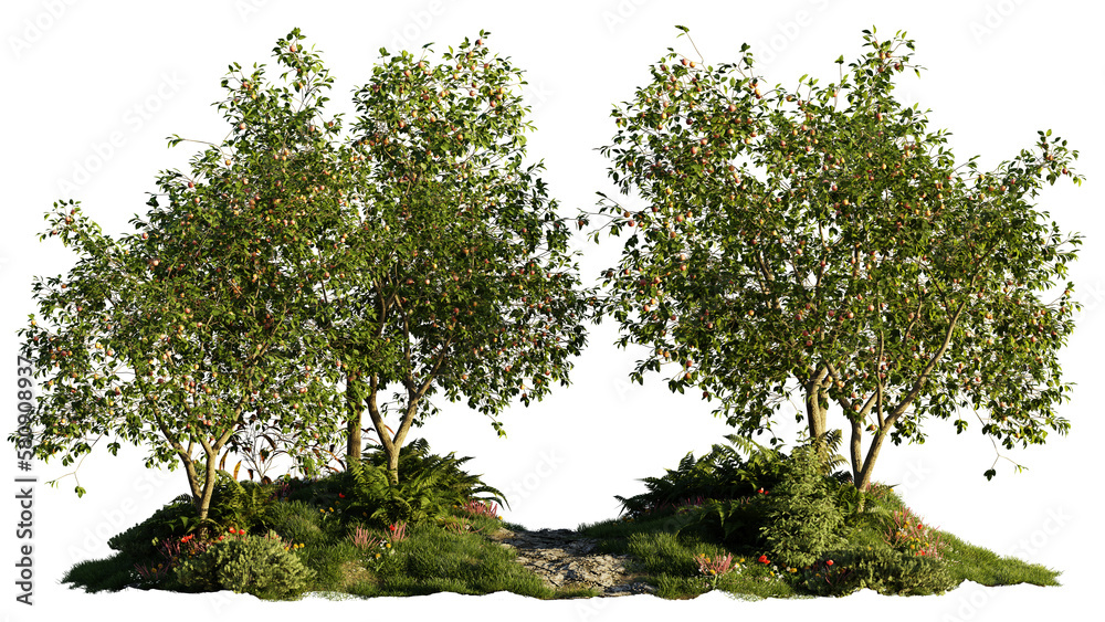 apple orchard, beautiful pathway through nature, isolated on transparent background