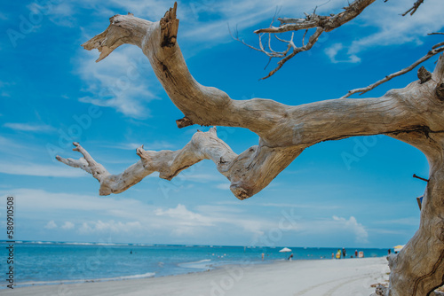 Praia de Coroa Vermelha em Porto Seguro, Bahia, Brasil