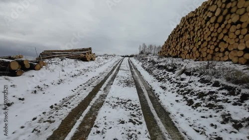 POV of running on a wintery trail in Thruingia between of many huge wooden piles. Result of climate change clear cutting due to bark beetle. photo