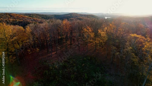 Drone 4K aerial rising out of forest to reveal vibrant fall colours, a lake, and the gatineau hills
