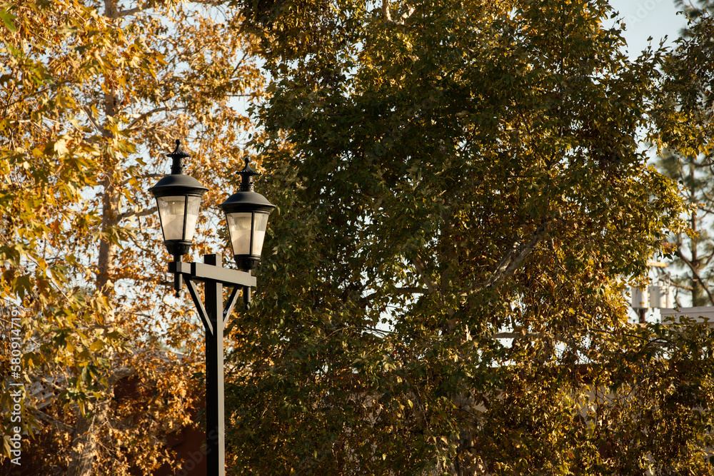A historic lamp post with a background of autumn foliage in historic downtown San Dimas, California, USA. A historic lamp post with a background of autumn foliage in historic downtown San Dimas, California, USA.