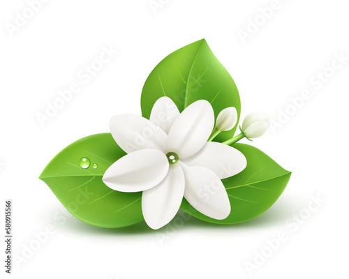 Jasmine flower and leaves realistic design isolated on white background, EPS10 Vector illustration.
