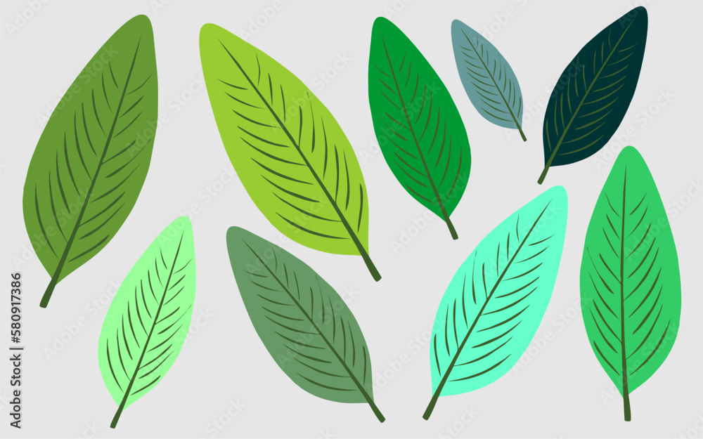 Tropical leaves collection. Vector isolated element on white background. Tropical leaf wallpaper, luxury nature leaf pattern design, hand drawn outline design for fabric