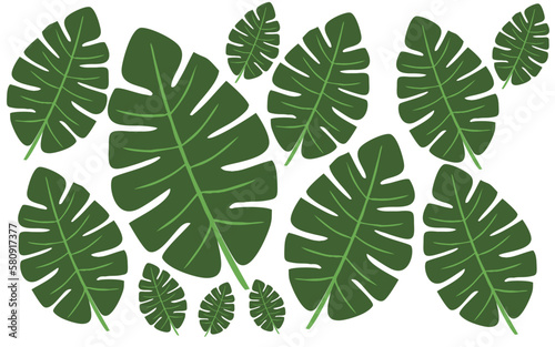 Tropical leaves collection. Vector isolated element on white background. Tropical leaf wallpaper  luxury nature leaf pattern design  hand drawn outline design for fabric