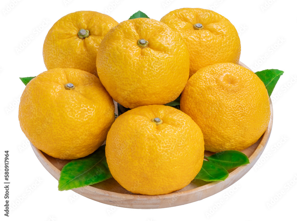Yuzu Orange fruit on White backghround. Sweet Yuzu Orange fruit isolate on white PNG File. Yuzu Orange fruit on White backghround. Sweet Yuzu Orange fruit isolate on white PNG File.
