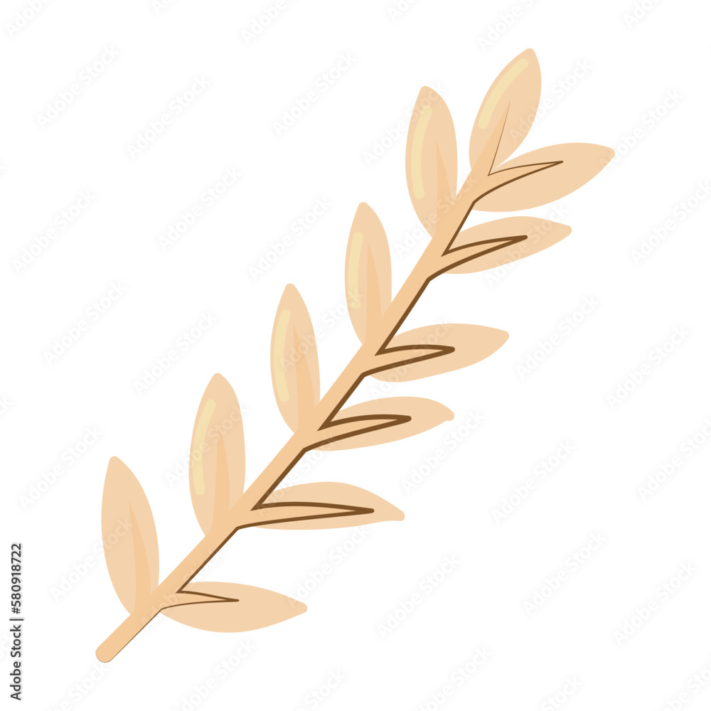 wheat spike stem
