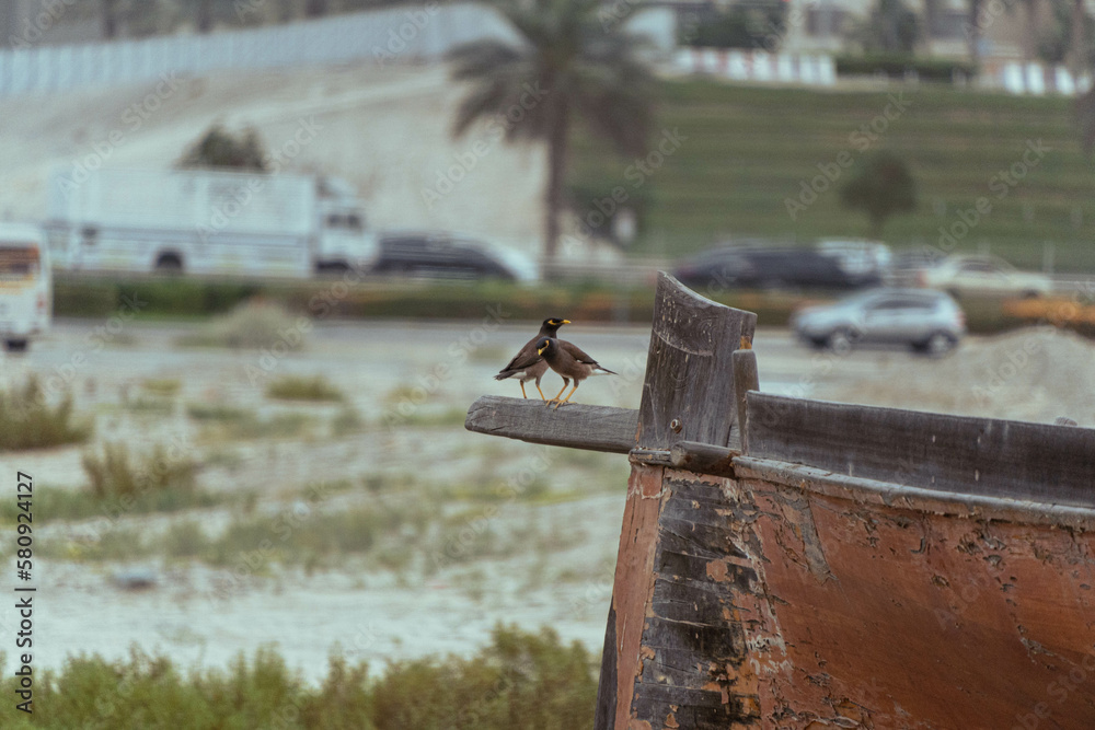 Fototapeta premium old rusty boat