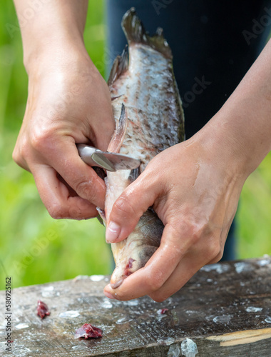 Cleaning fish with hands in nature.