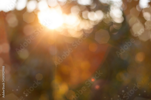 Close-up of the sun shining through the trees. bokeh