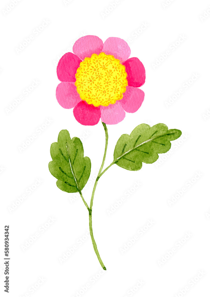 花の水彩イラスト