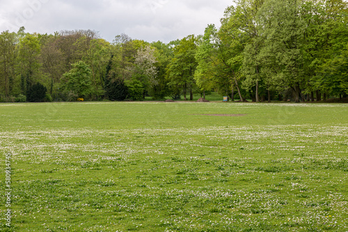 Grass field and trees in park