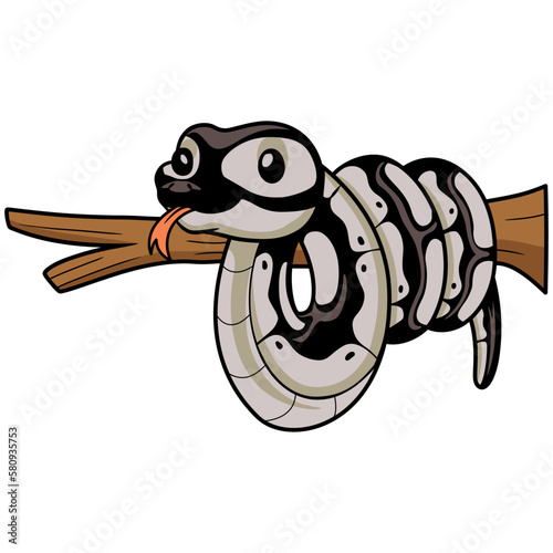 Cute python snake cartoon on tree branch