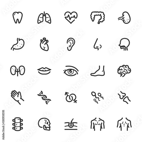 Icon set - Human Anatomy line icon