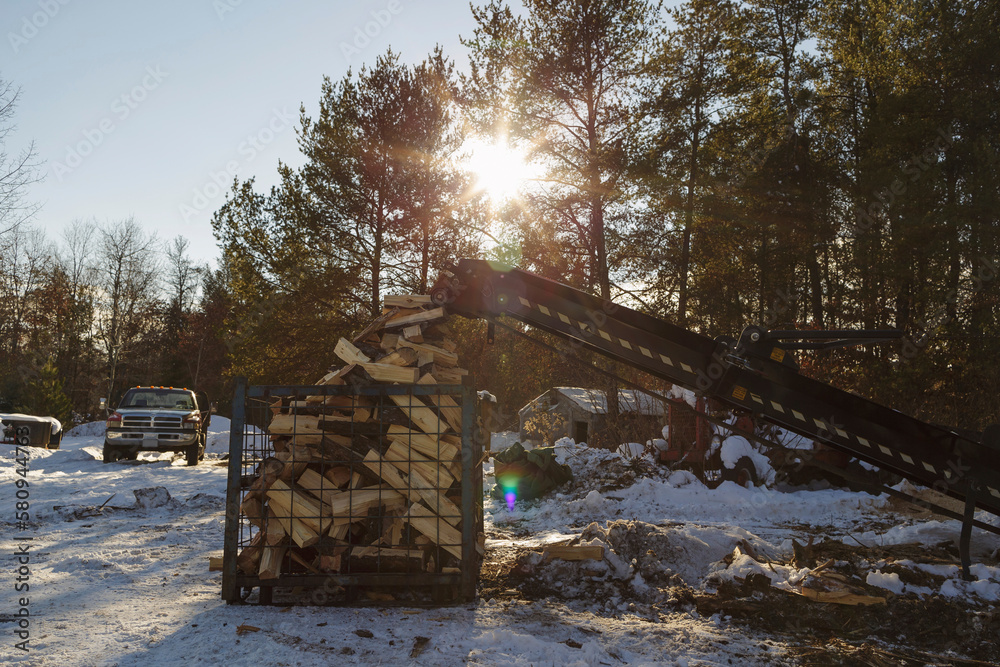 Conveyer belt by logs in container on field in forest Conveyer belt by logs in container on field in forest